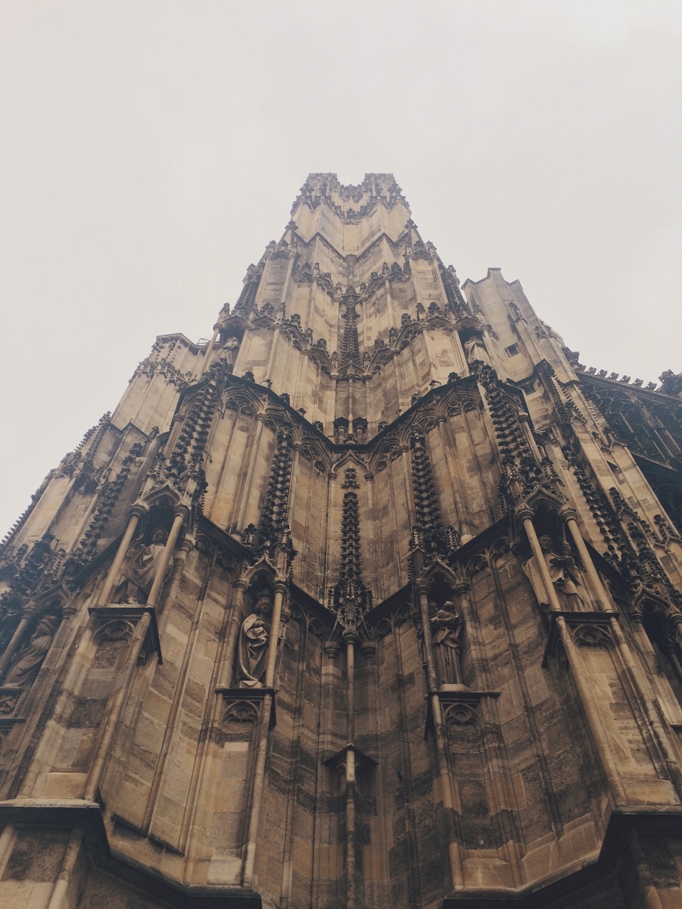 Vienna.