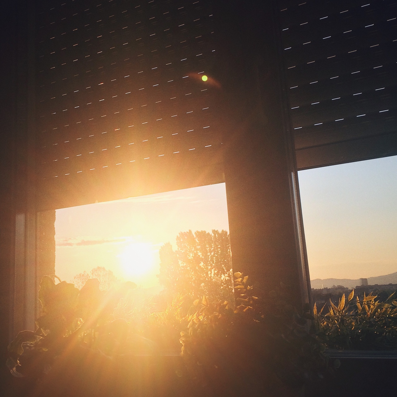 Morning. A good one.