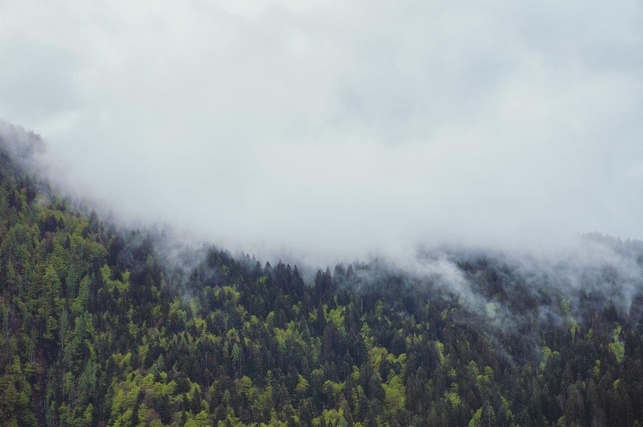 Tranquility.