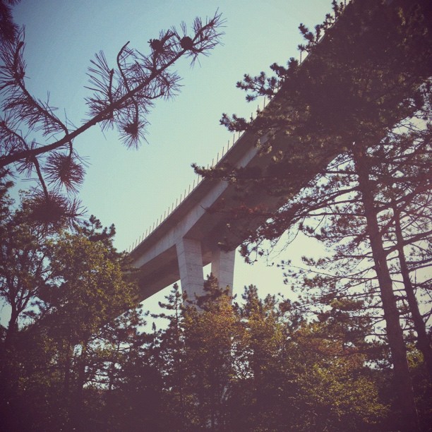 Civilization above nature.