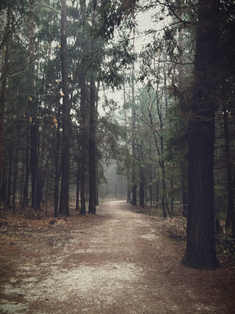 Live from the woods.