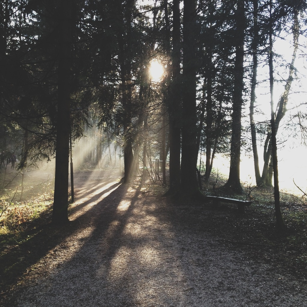 It was one of those beautiful days.