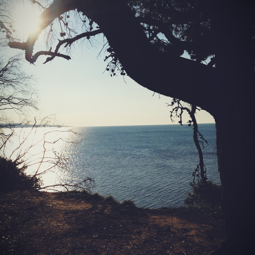 On a sunny winter day.