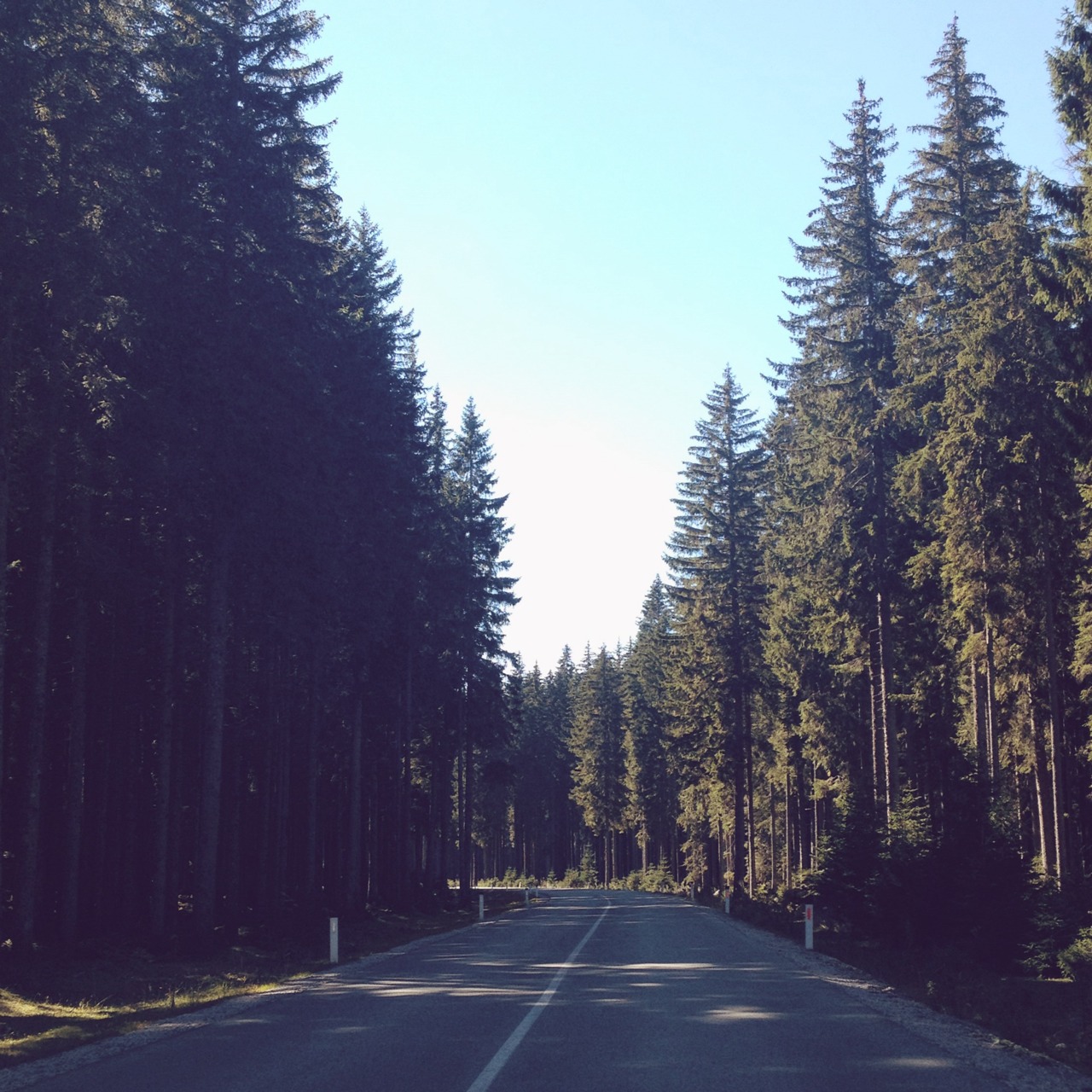 Road trip.