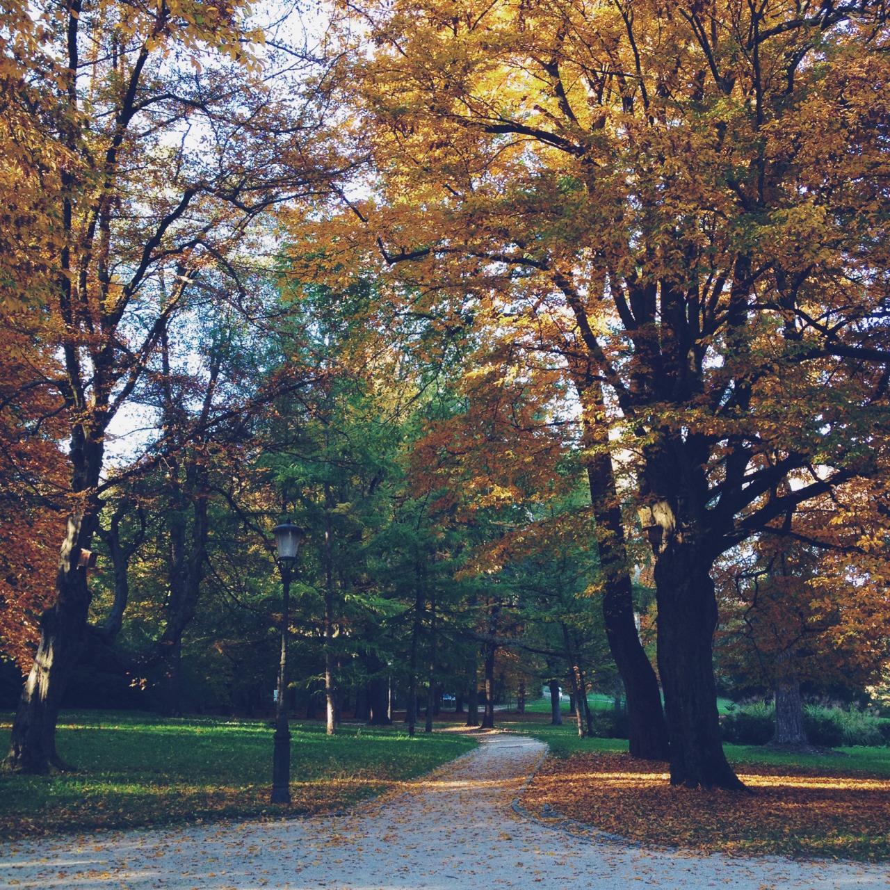 A beautiful autumn day.