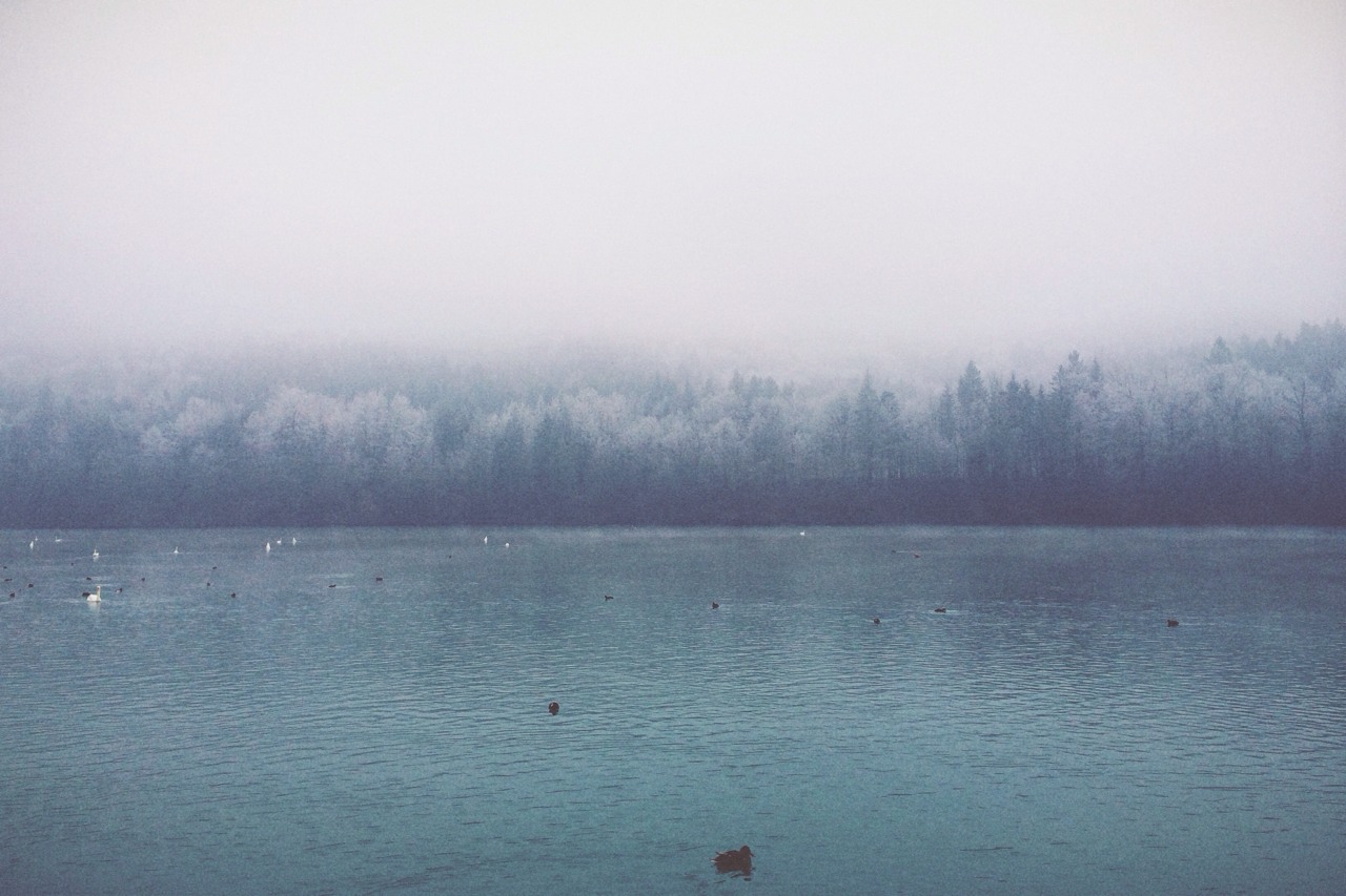 Cold and grey.