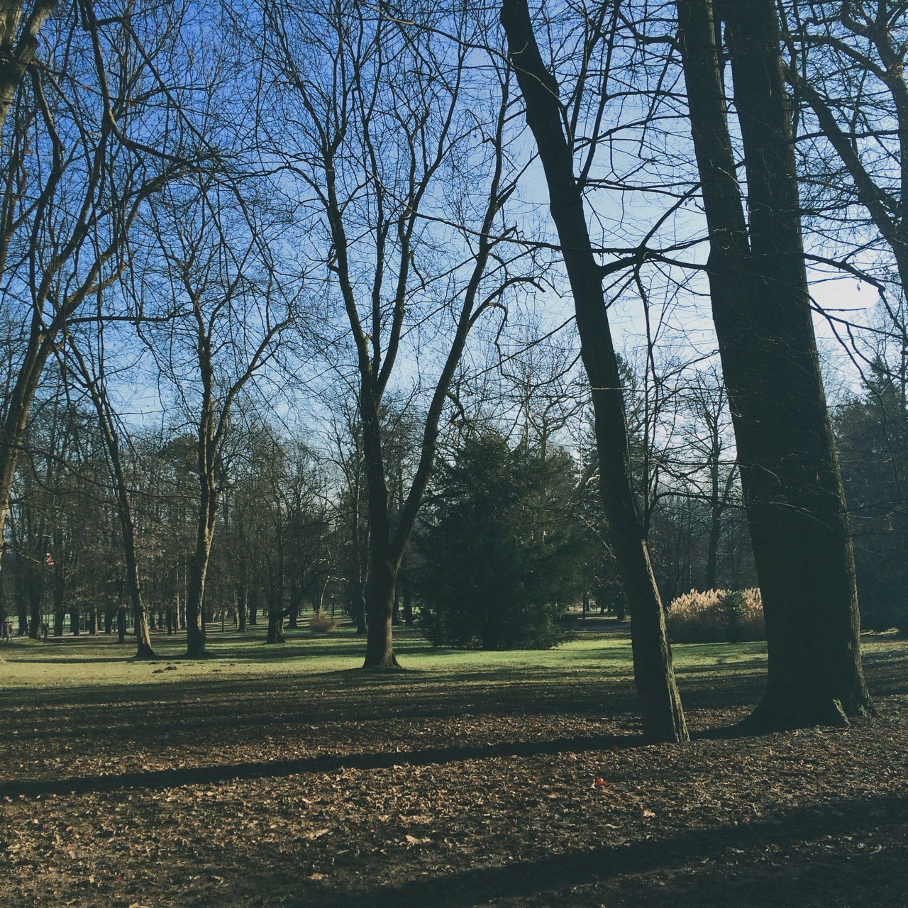 It’s January. They say it’s winter. I don’t believe ‘em.