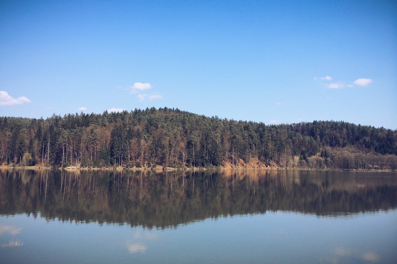 “Look deep into nature, and then you will understand everything better.” AE